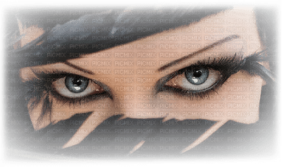 Kaz_Creations Woman Femme Face Eyes - Free PNG
