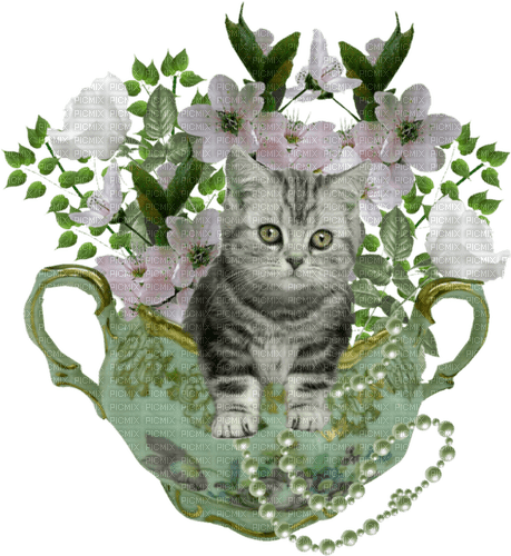 dolceluna spring cat vintage deco - PNG gratuit