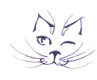 chat qui cligne de l'oeil - Безплатен анимиран GIF