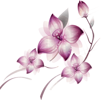 fiore - nemokama png