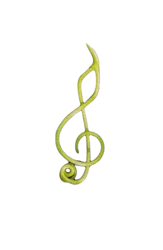 nota musical - 免费PNG