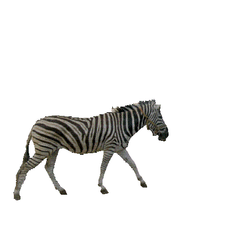 Животные - Besplatni animirani GIF