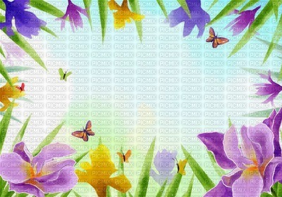 multicolore image encre la nature bon anniversaire fleurs papillon printemps edited by me - Free PNG