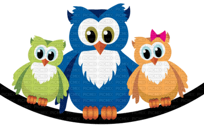 Kaz_Creations Owls - png gratuito