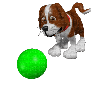 focizós kutyus - Darmowy animowany GIF