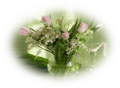 patymirabelle fleurs,muguet - png ฟรี