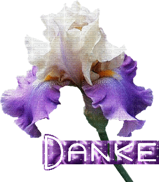 Danke - 無料のアニメーション GIF