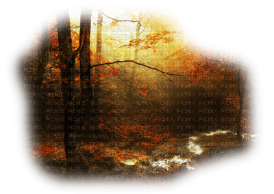 Autumn paysage - zdarma png