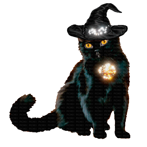 halloween cat bu nataliplus - Gratis animerad GIF