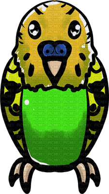 budgie - png gratuito