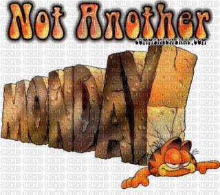 NOT ANOTHER DAY - Gratis animerad GIF