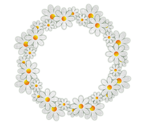 Flower Frame - ücretsiz png