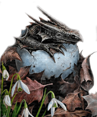 dragon  by nataliplus - png gratis