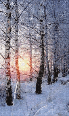 winter - GIF animado grátis