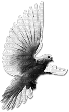 soave deco bird dove black white - PNG gratuit