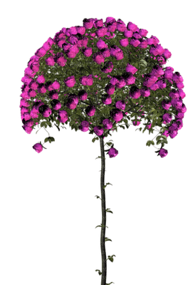 Kaz_Creations Deco Flowers Flower Colours Trees Tree - ilmainen png