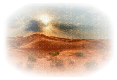 desert landscape bp - zdarma png
