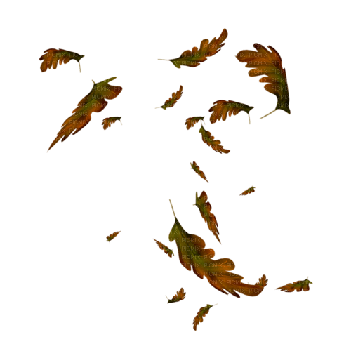leaves falling fly autumn brown - png gratis