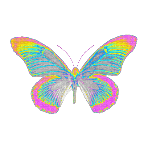 iridescent butterfly - Бесплатный анимированный гифка