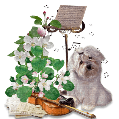 minou-flower-violin-dog-sheet music-deco - png grátis