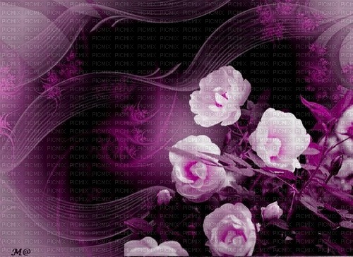 bg-lila-blommor---background-purple-flowers - png ฟรี