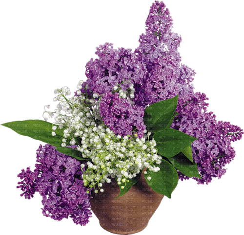 Bloemen pot - kostenlos png