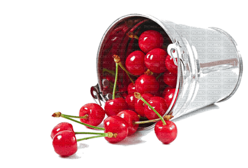 cherry bucket Bb2 - zdarma png
