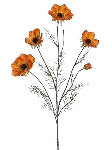 poppies - δωρεάν png