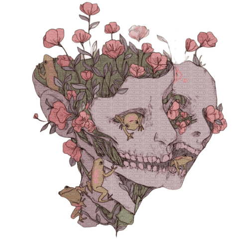 two heads skull flowers - kostenlos png