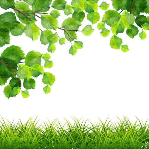 feuilles/herbes - PNG gratuit