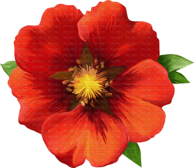 flowers anastasia - png gratuito