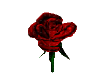 Gif rosas-l - Darmowy animowany GIF