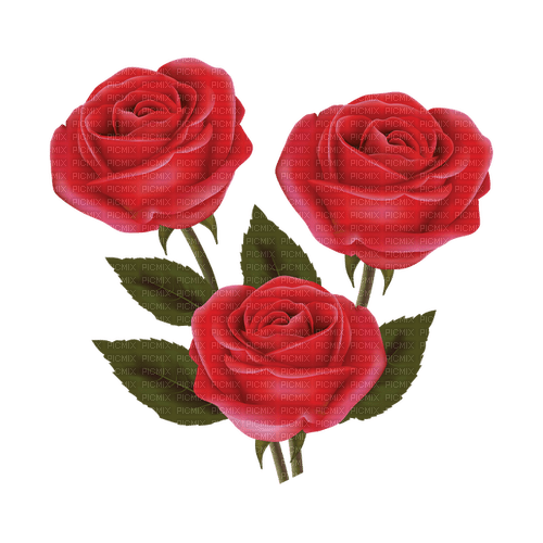 kikkapink deco scrap flowers red roses - png ฟรี