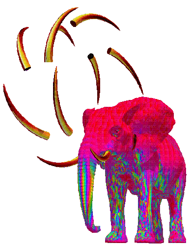 psychedelic elephant - Animovaný GIF zadarmo
