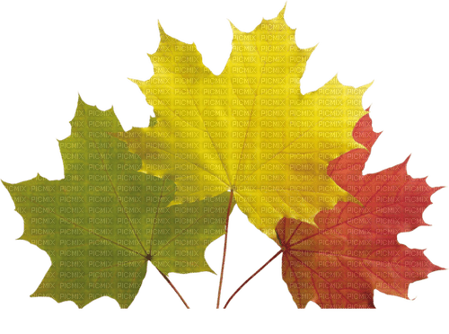 autumn leaves Bb2 - ilmainen png