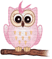 owl katrin - GIF animate gratis