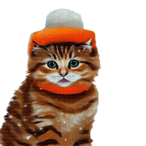kikkapink kitten animal cute deco winter cat - bezmaksas png