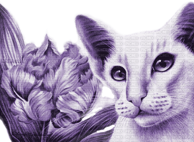 Y.A.M._Art Fantasy cat purple - PNG gratuit