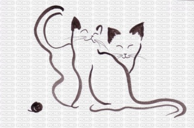 CHAT amoureux - 免费PNG