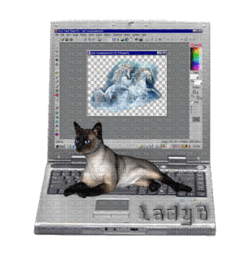 Cat computer - GIF animasi gratis