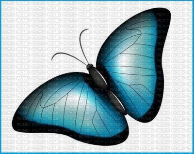 ROXY BUTTERFLY - gratis png
