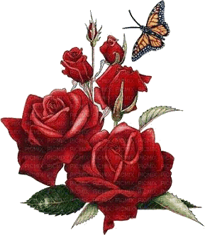 red roses - GIF animado grátis