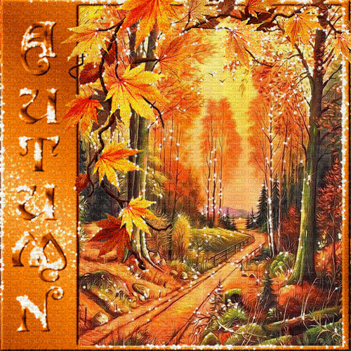 autumn automne herbst milla1959 - GIF เคลื่อนไหวฟรี