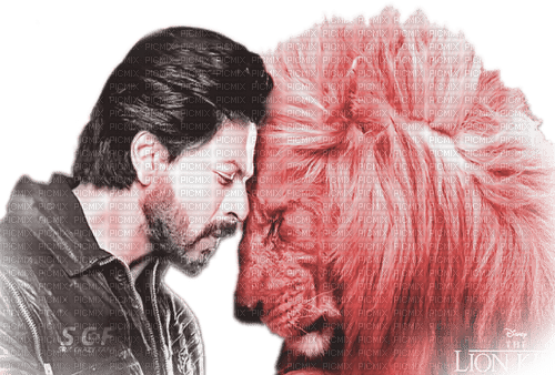 soave man Shahrukh Khan  bollywood lion animals - Free PNG