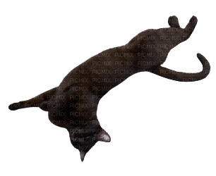 Cuppa the cat - Free PNG