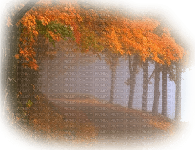 patymirabelle paysage automne - 免费PNG