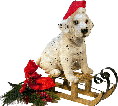 Kaz_Creations Dog Pup Dogs 🐶Christmas - PNG gratuit