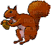 eichhörnchen - Gratis animeret GIF