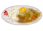 curry rice - Darmowy animowany GIF