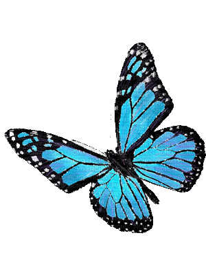 dolceluna blue animated glitter spring butterfly - Zdarma animovaný GIF